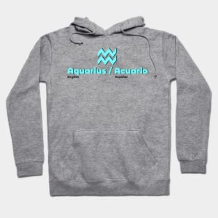 Aquarius Power Color- Electric Blue & Turquoise Hoodie